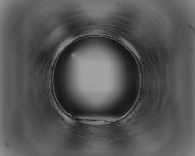 X0000091901437200709191228