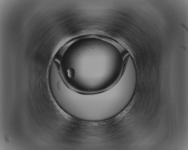 X0000091901438200709191228