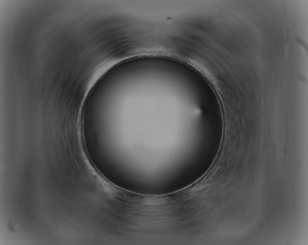 X0000091901440200709191228