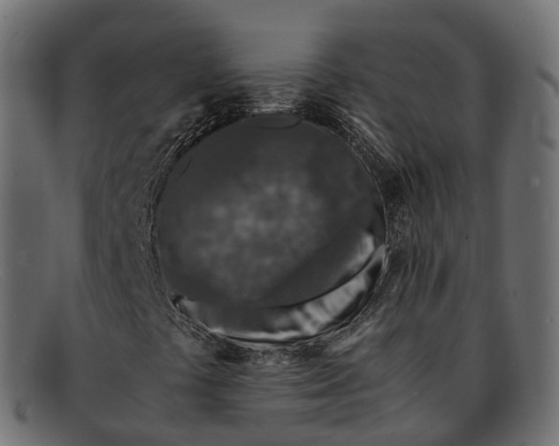 X0000091901441200709191228