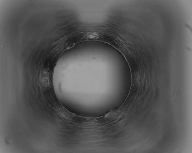 X0000091901442200709191228