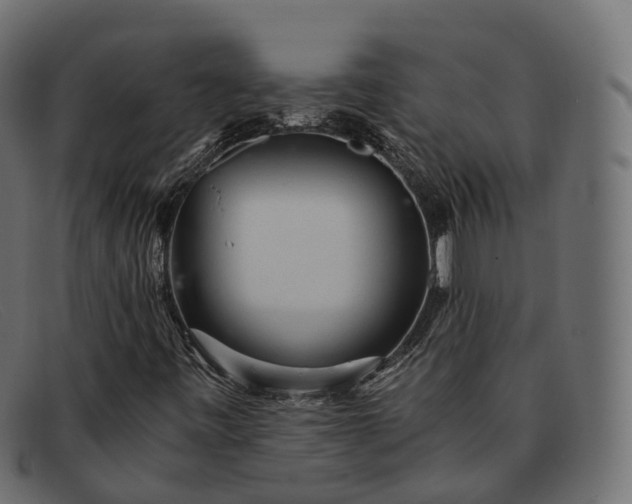 X0000091901443200709191228