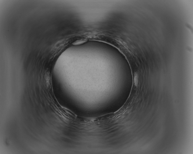 X0000091901444200709191228