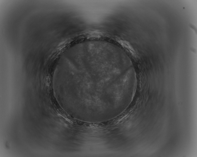 X0000091901445200709191228