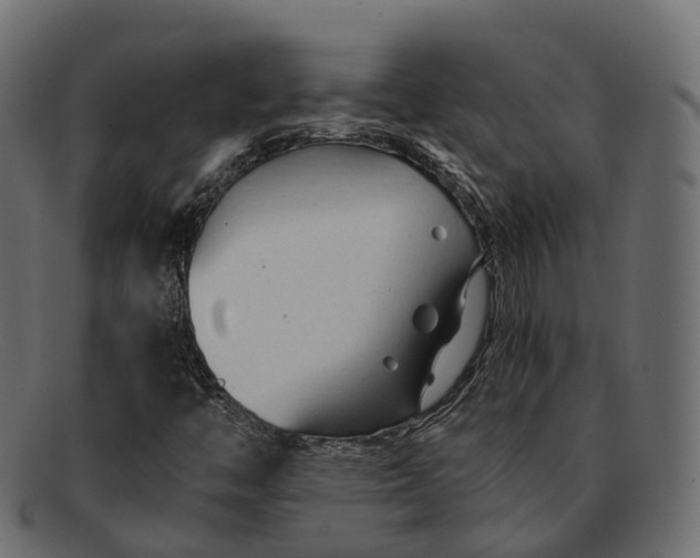 X0000091901446200709191228