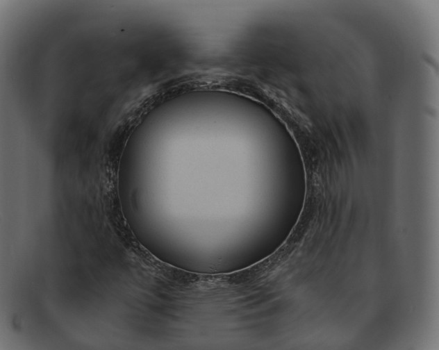 X0000091901447200709191228