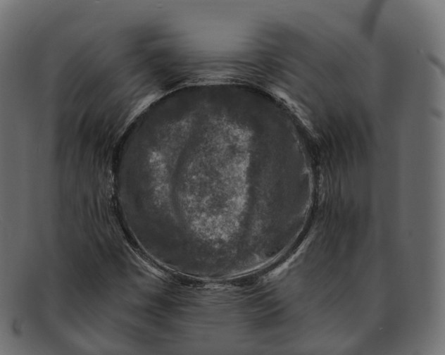 X0000091901449200709191228