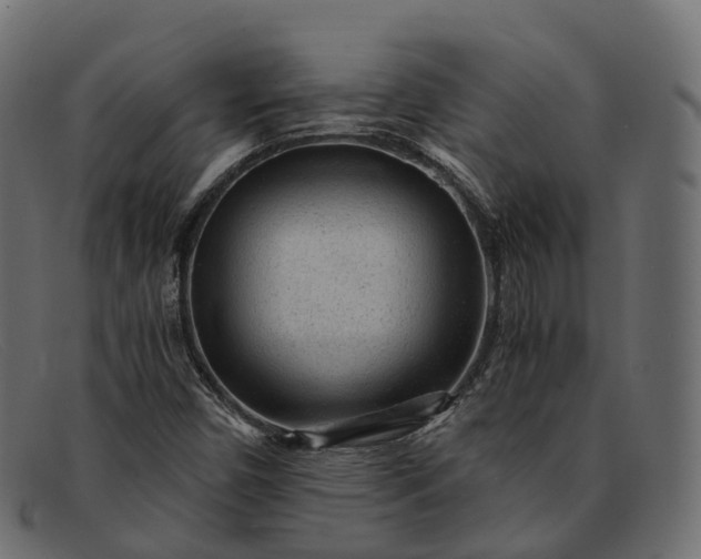 X0000091901450200709191228