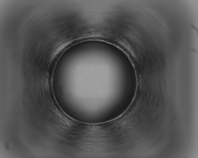 X0000091901452200709191228