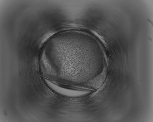 X0000091901453200709191228