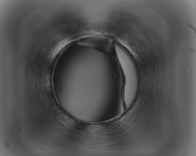 X0000091901455200709191227