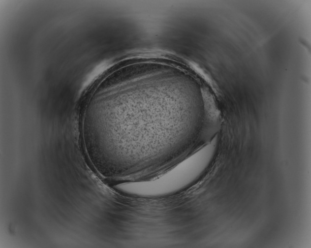 X0000091901456200709191227