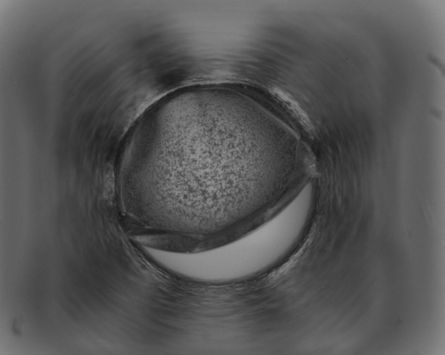 X0000091901457200709191227