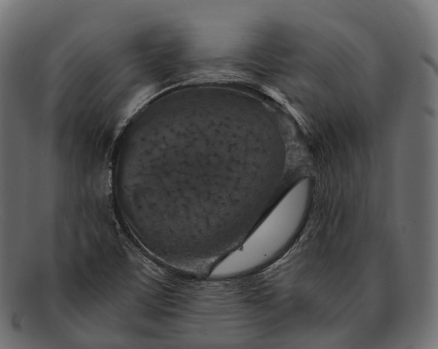 X0000091901459200709191227