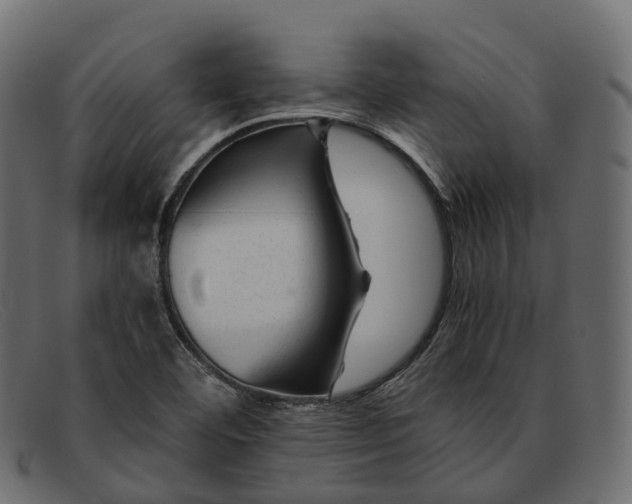 X0000091901460200709191227