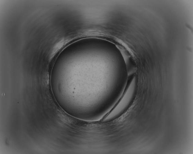 X0000091901461200709191227