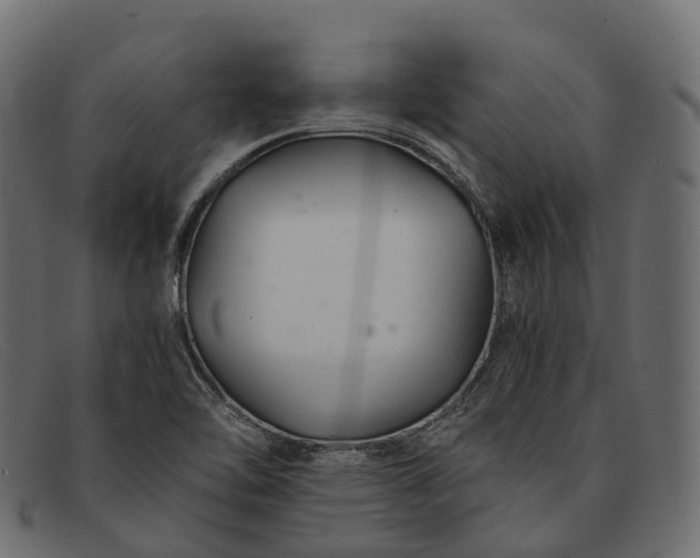 X0000091901462200709191227