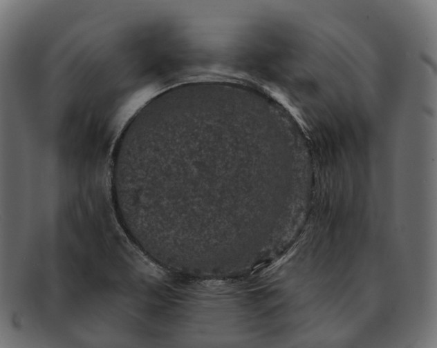 X0000091901463200709191227