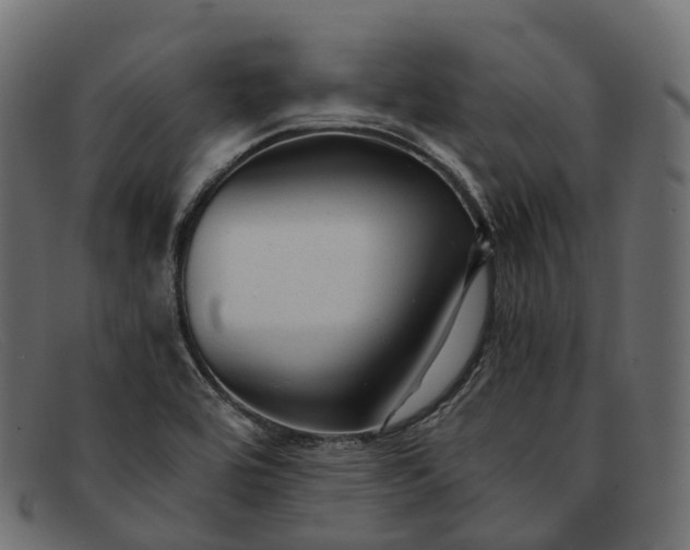 X0000091901464200709191227