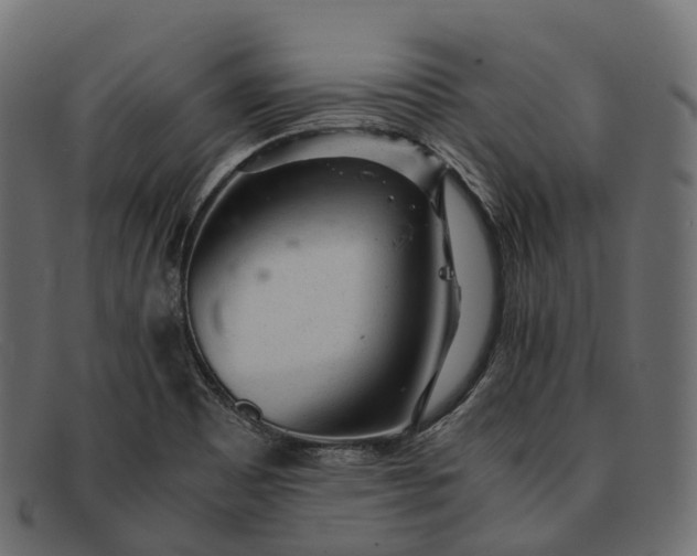 X0000091901465200709191227