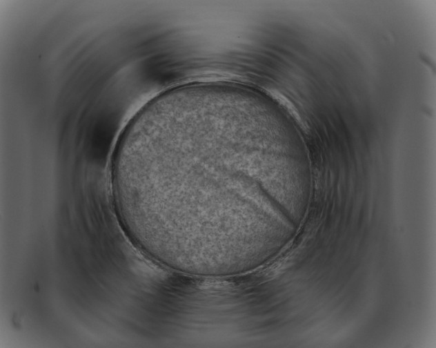 X0000091901466200709191227