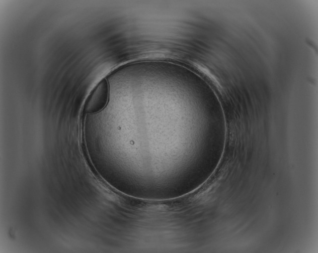 X0000091901467200709191227