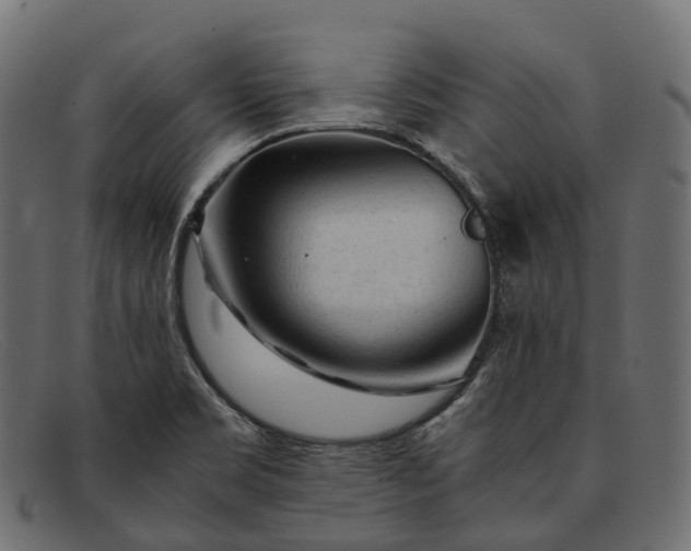 X0000091901469200709191227