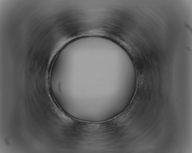 X0000091901470200709191227