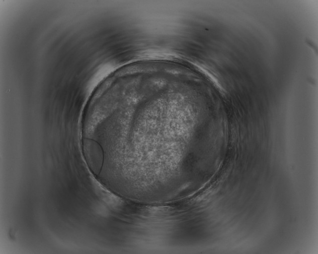 X0000091901471200709191227