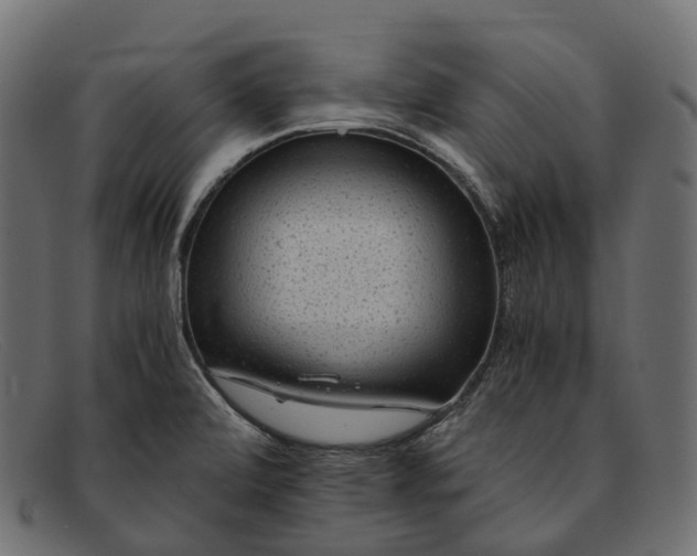 X0000091901472200709191227