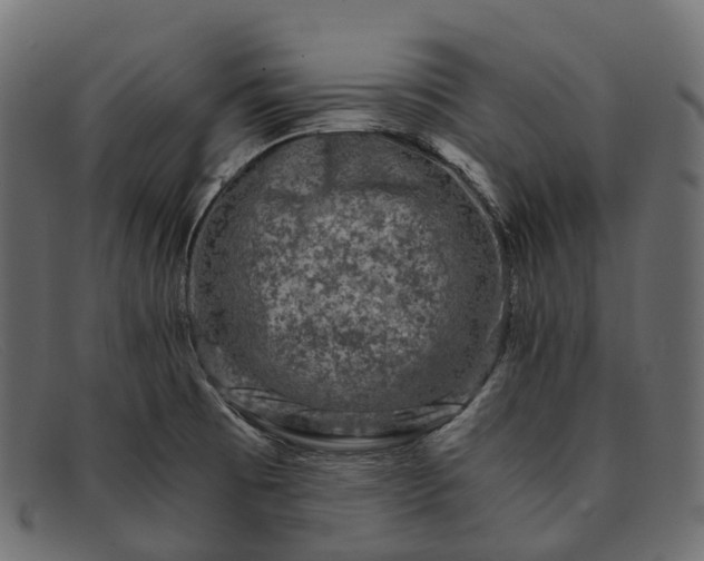 X0000091901473200709191227