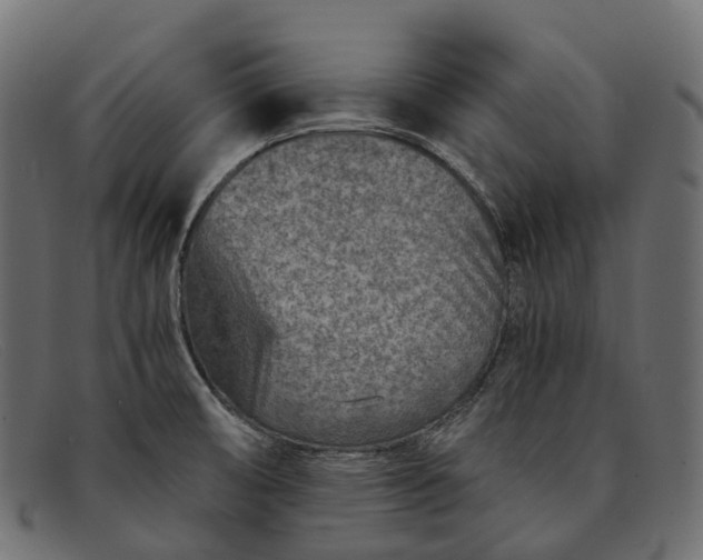 X0000091901474200709191227