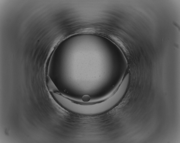 X0000091901475200709191227