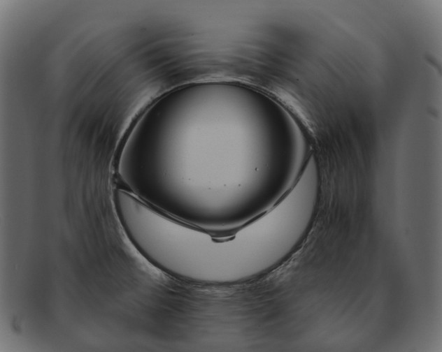 X0000091901476200709191227