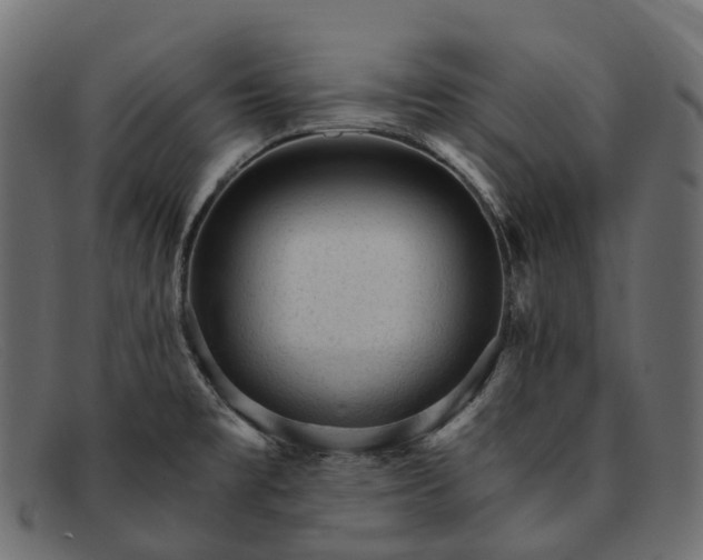 X0000091901477200709191227