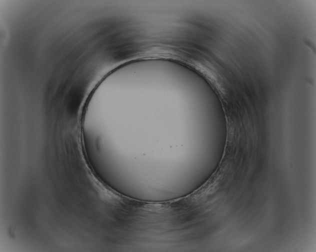 X0000091901478200709191227