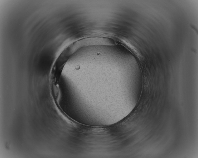 X0000091901479200709191227