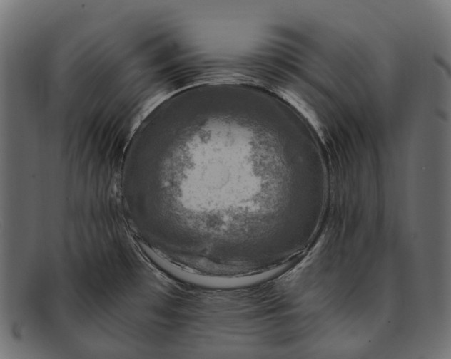 X0000091901481200709191227