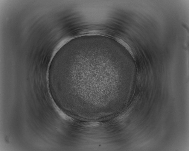 X0000091901482200709191227