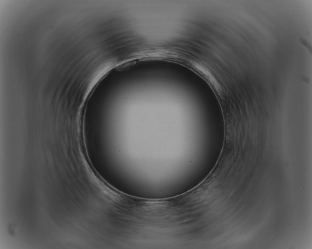 X0000091901483200709191227