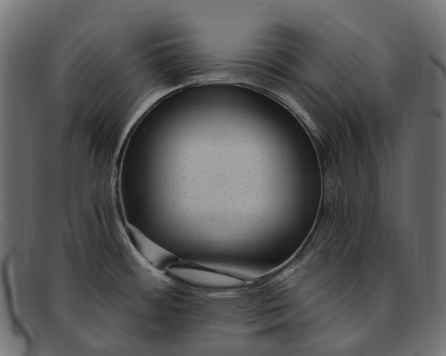 X0000091901484200709191227