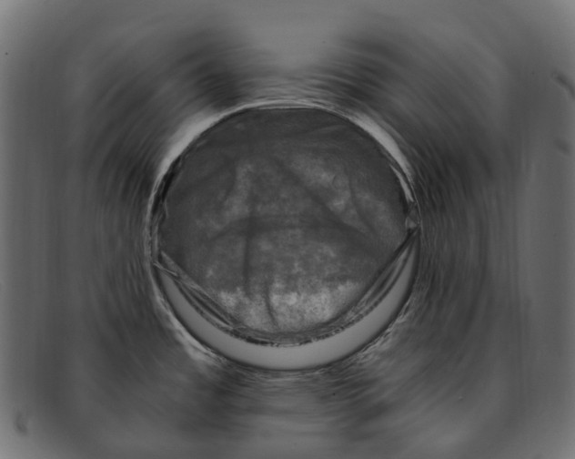 X0000091901485200709191227