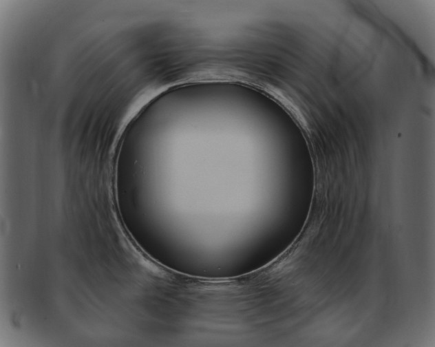 X0000091901486200709191227