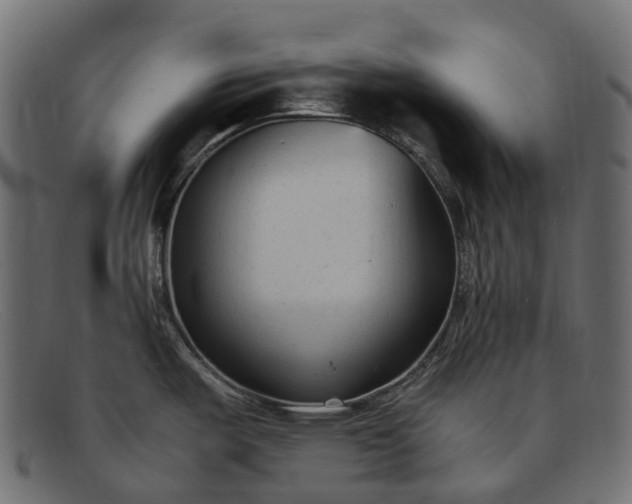 X0000091901487200709191227