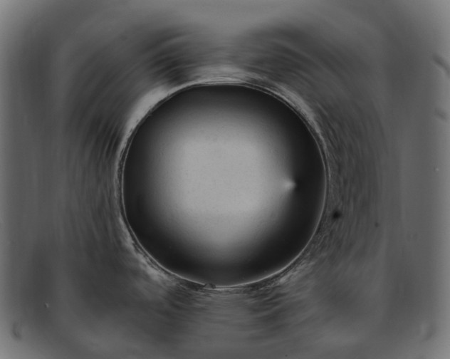 X0000091901488200709191227