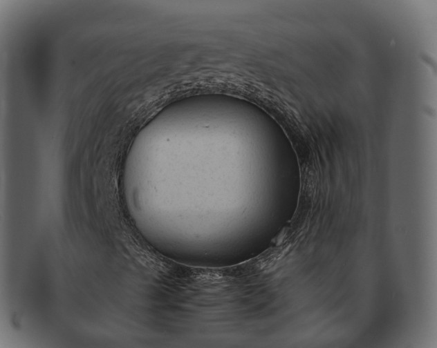 X0000091901489200709191227