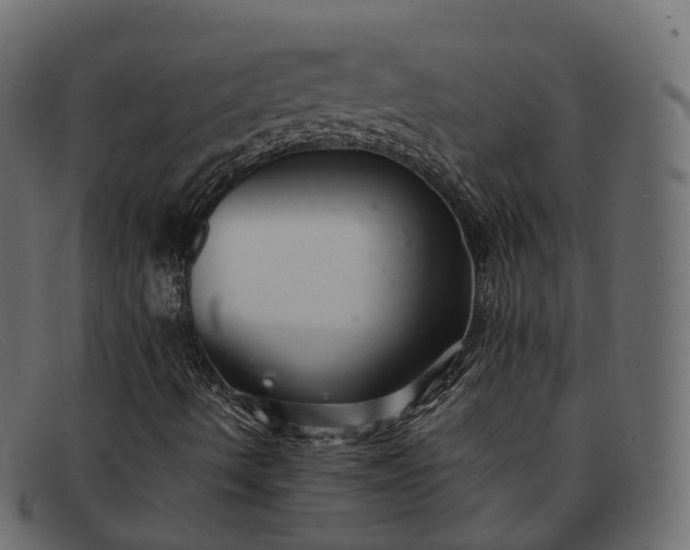 X0000091901490200709191227