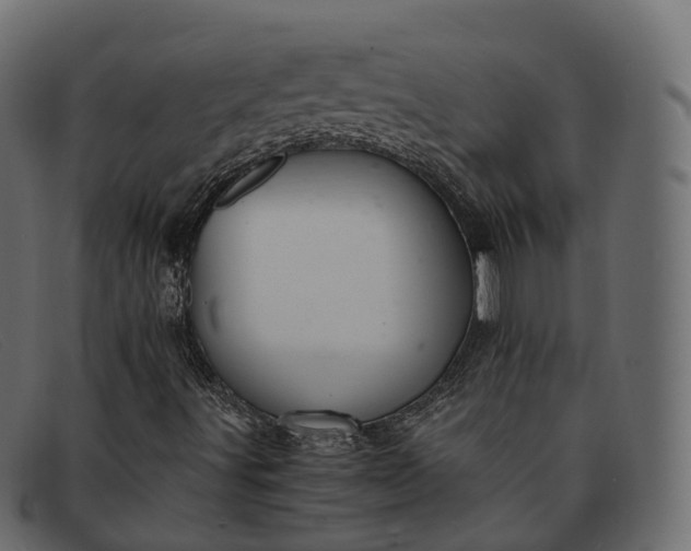 X0000091901491200709191227