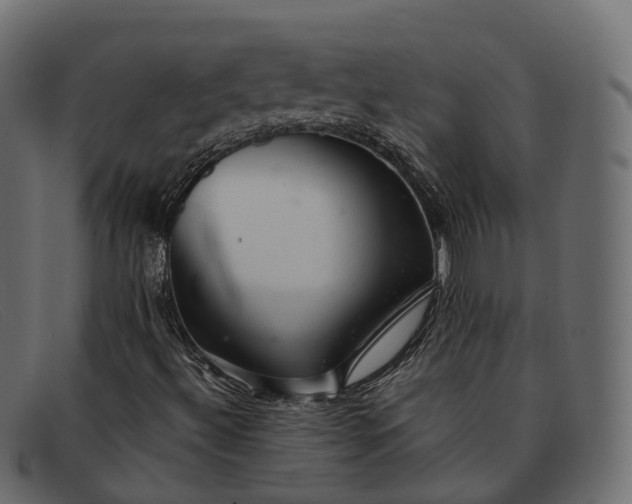 X0000091901492200709191227