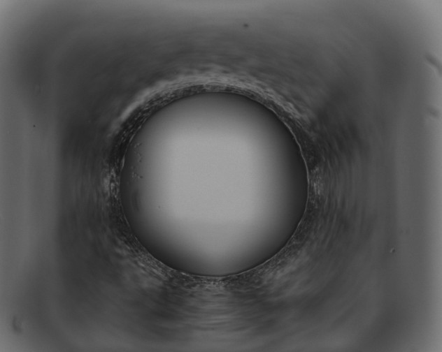 X0000091901495200709191227